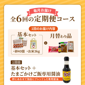 たまご屋の「ご飯がすすむ定期便Ｂ」（卵40個・米3kg・月替わり品）6ヵ月コース _07T-004