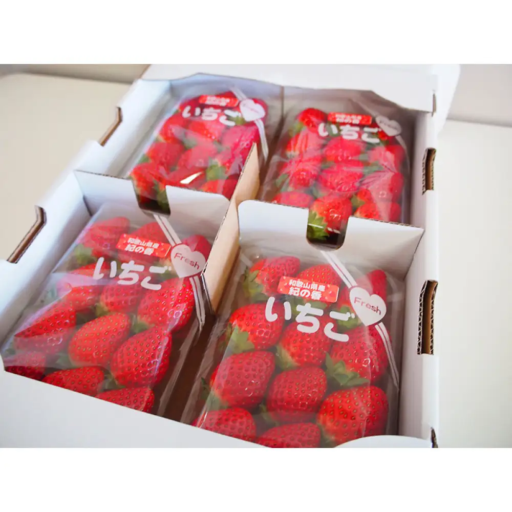 紀州和歌山ブランドいちご「紀の香」約250g×4P ［UT143］