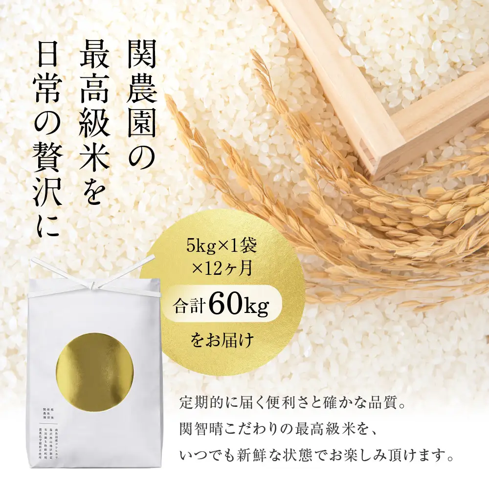 【定期便】関智晴がつくる最高級 南魚沼産コシヒカリ 金丸 ５kg ×全12回　栽培期間中 農薬化学肥料不使用