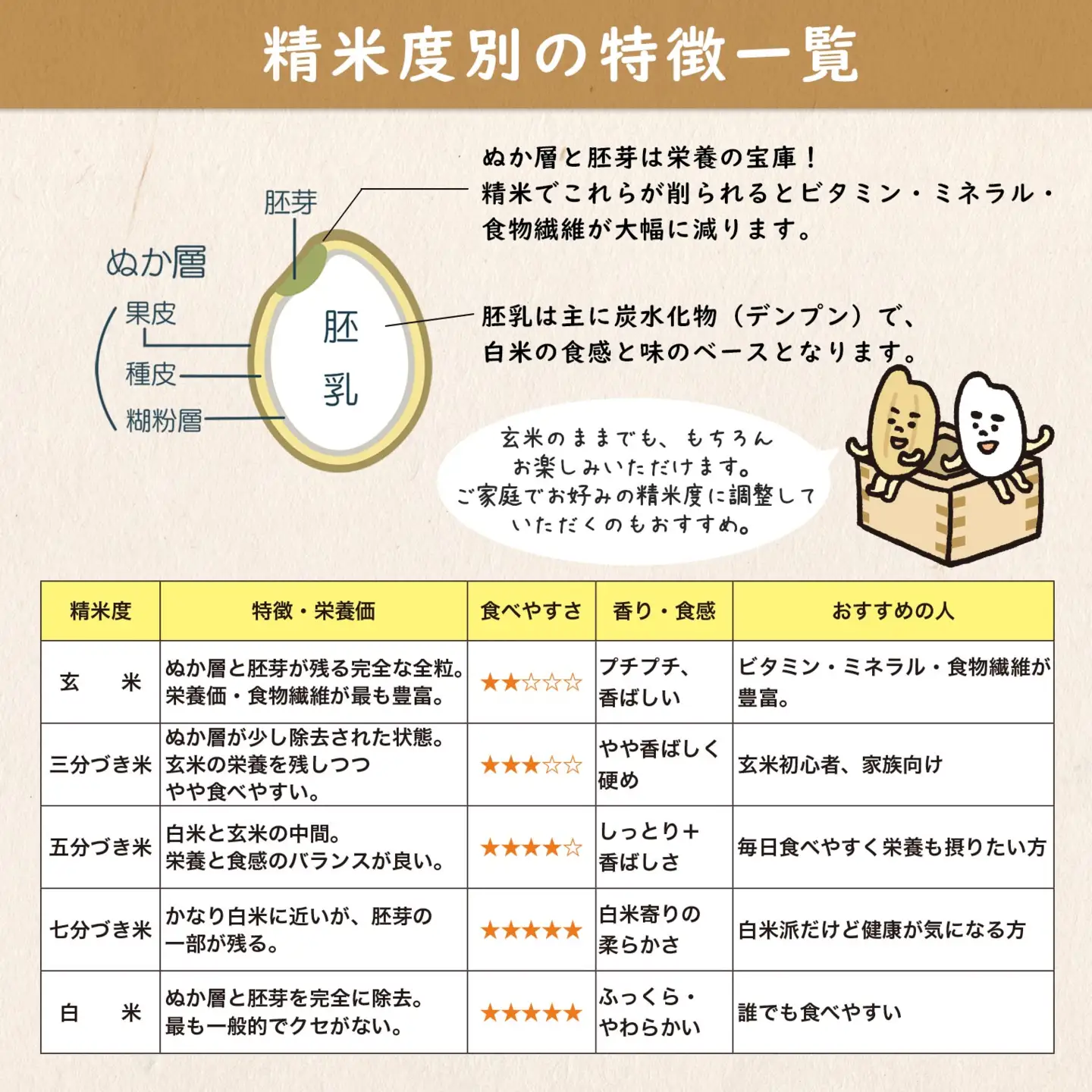 【令和7年産】境町のこだわり玄米 「一番星」30kg S252