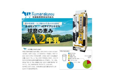 牛乳 ヨーグルト 球磨の恵み お腹にもやさしいA2ミルクとヨーグルト加糖 セット ミルク 牛乳2本 ヨーグルト2個【配送不可：沖縄県、離島】