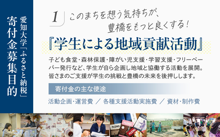 ≪返礼品無し≫【愛知大学】豊橋市大学応援寄附 5000円 大学寄附 愛知県豊橋市への寄附 返礼品無し 寄附のみ 豊橋市 穂の国 東三河 5000円 ポッキリ 愛知県 豊橋市