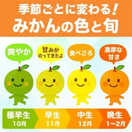 極早生みかん 2S～2L 約10kg(益城町)【1725632】