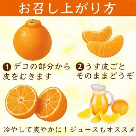 不知火 デコみかん(デコポンと同品種)12～24玉 約5kg(益城町)【1726328】