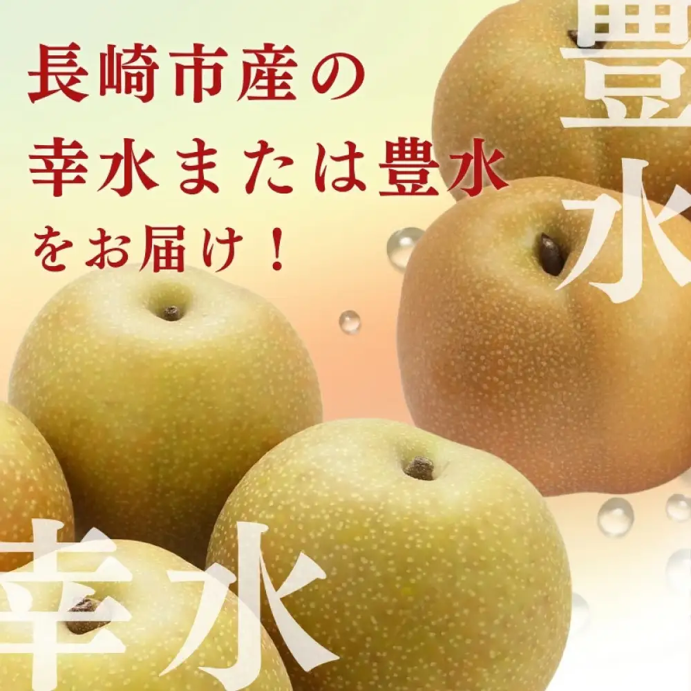 長野市産 梨 3kg（6～12玉）【2026年9月上旬以降発送予定】(さらしな青果) | 梨 フルーツ