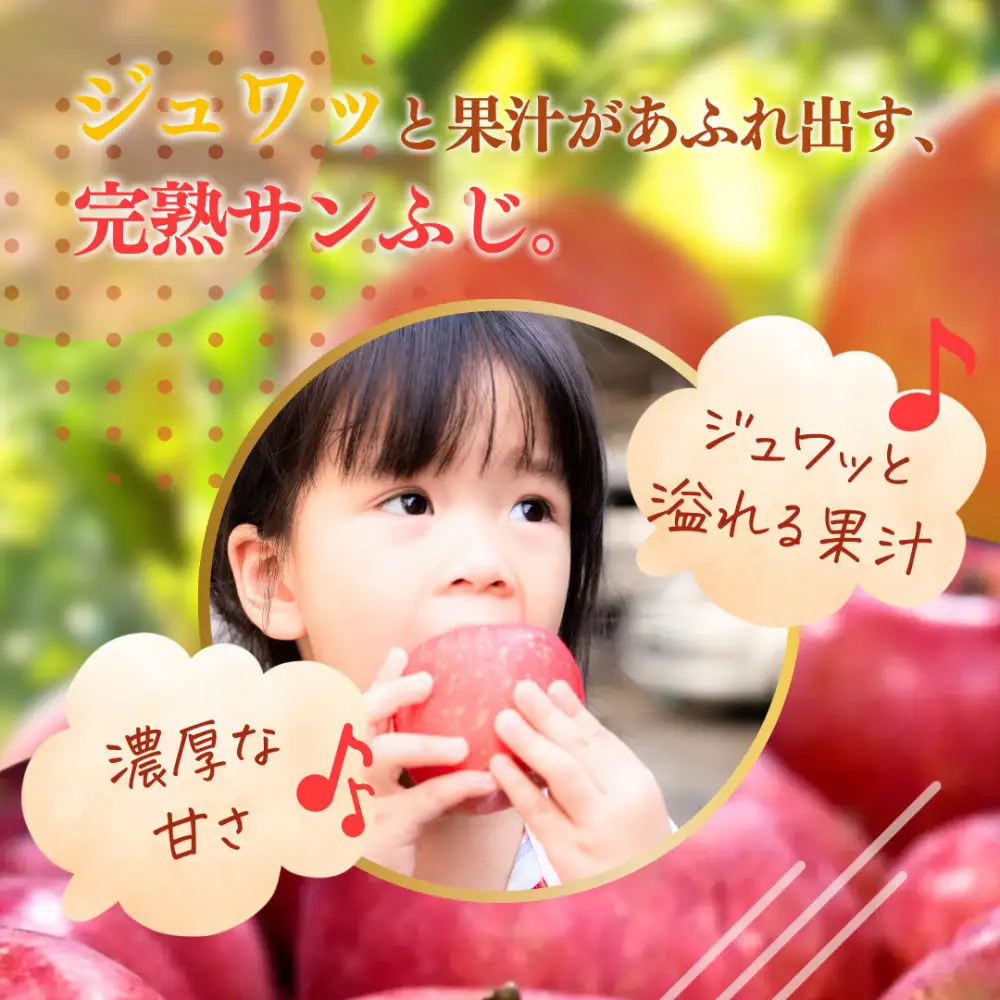 【11月下旬発送 先行予約】樹上熟成　サンふじ 5kg | りんご サンふじ 樹上熟成 糖度