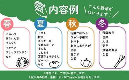 飛騨高山の新鮮野菜 おまかせセット | 野菜 おまかせ 詰め合わせ やさい 果物 くだもの ご当地 フルーツ 飛騨高山 まるっとプラザ BA007
