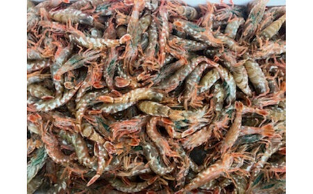 ＜定期便＞『境港の全部を食す』旬のお魚宅配便(全4回)