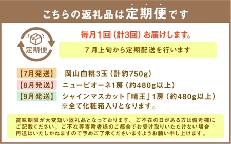 【 全3回定期便 】 岡山県産 フルーツ定期便 ＜ お一人様向け ＞ 白桃 ピオーネ シャインマスカット 果物 くだもの フルーツ ぶどう もも ブドウ モモ 葡萄 桃 化粧箱 贈り物 贈答用 ギフト プレゼント 定期便 【 2026年7月上旬～9月下旬迄発送予定 】