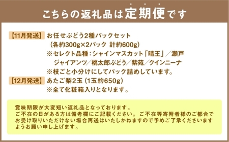 【 全6回定期便 】 岡山県産 フルーツ定期便＜お一人様向け＞ 白桃 ピオーネ シャインマスカット 果物 くだもの 果実 フルーツ ぶどう もも ブドウ モモ 葡萄 桃 なし ナシ 梨 化粧箱 贈り物 ギフト プレゼント 定期便 【2026年7月上旬～12月下旬迄発送予定】