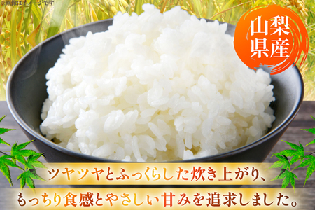 【数量限定】 米 定期便 3回 令和8年産 こしひかり 3kg 山梨県産 武川米 [ヤマエ株式会社 山梨県 韮崎市 20745399]