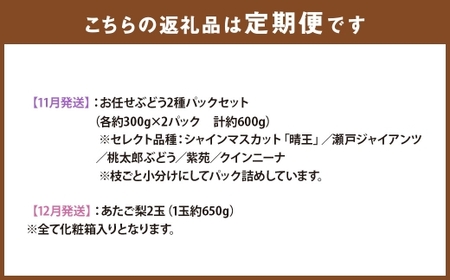 【全6回定期便】 岡山県産 フルーツ定期便 ＜お一人様向け＞ 【2026年7月上旬～12月下旬迄発送予定】 白桃 ピオーネ シャインマスカット あたご梨 瀬戸内 果物 くだもの 果実 フルーツ ぶどう もも ブドウ モモ 葡萄 桃 岡山白桃 ニューピオーネ 晴王 食べ比べ 瀬戸ジャイアンツ 桃太郎ぶどう 紫苑 クインニーナ なし ナシ 梨 化粧箱 贈り物 ギフト プレゼント 定期 定期便