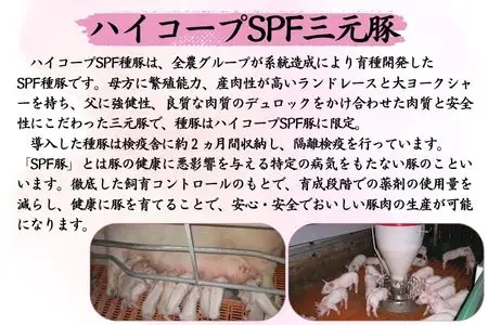【冷凍】八幡平ポークあい 焼肉・しゃぶしゃぶ用セット 約2.6kg モモ バラ ロース 肩ロース 肩肉 薄切り肉 スライス 小分け 詰め合わせ 計8パック