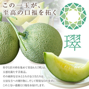 【先行予約】養液栽培メロン「璻」1玉【Select】（糖度13度以上、重さ1.3㎏以上）【熨斗対応可能】