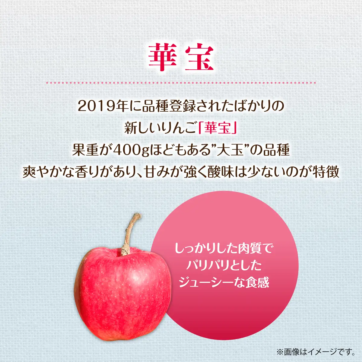 【先行予約】＜2026年10月上旬よりお届け＞北海道壮瞥町　りんご　品種名「華宝」7～10玉 約3kg SBTF014