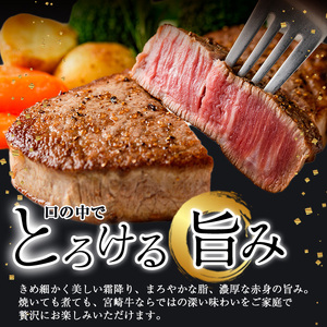 宮崎牛 赤身＆カルビカット すき焼き (合計1kg・500g×2) すき焼き お肉 牛肉 黒毛和牛 宮崎牛 ブランド和牛 冷凍 国産 カルビ 赤身 宮崎県産 【YM-45】【YAMATO株式会社】