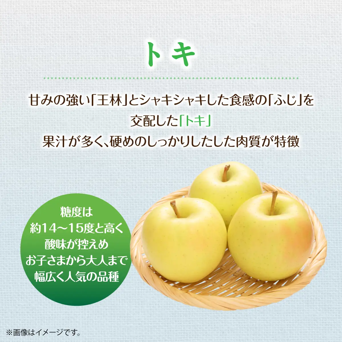 【先行予約】＜2026年10月中旬よりお届け＞北海道壮瞥町　りんご　品種名「トキ」8～10玉約3kg SBTF016