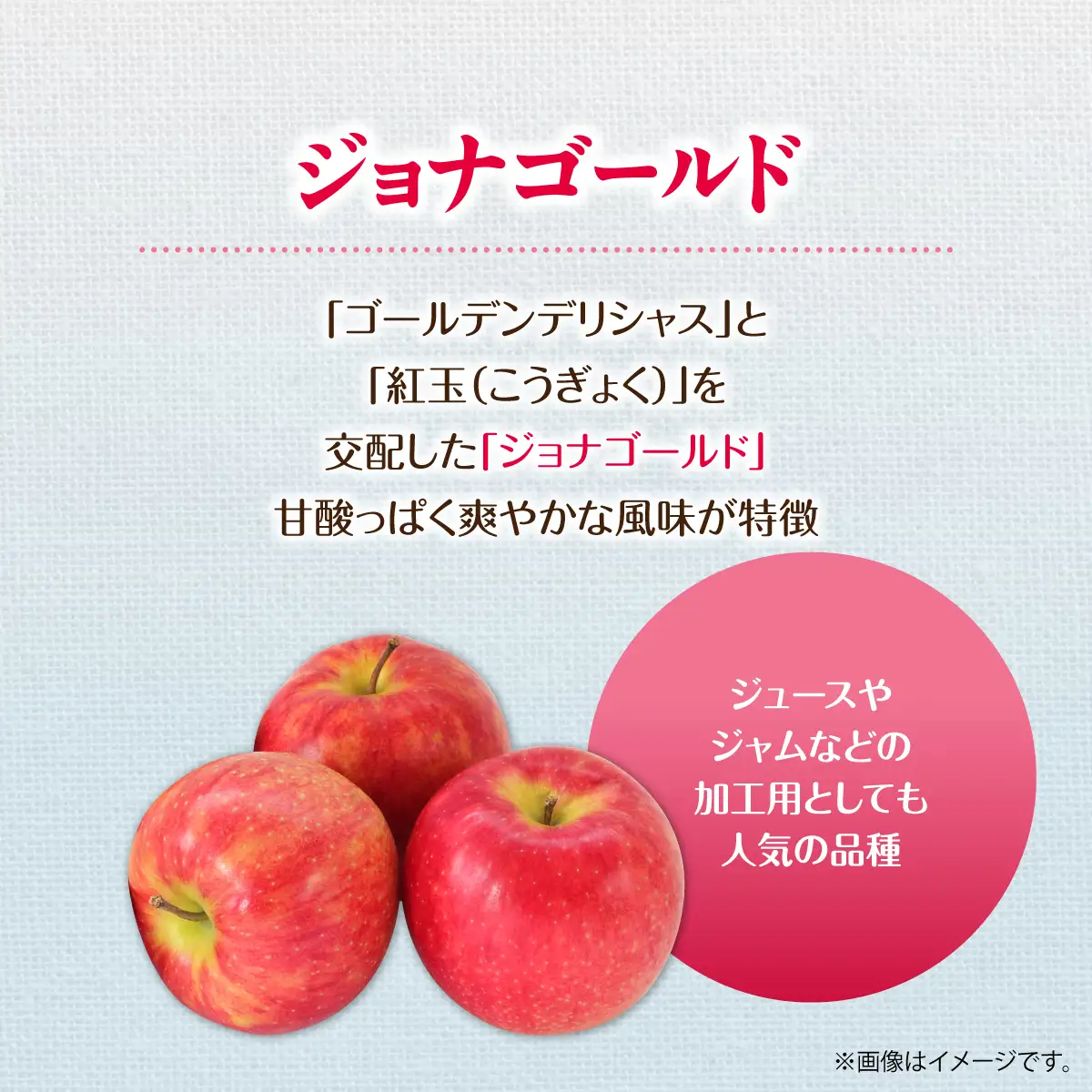 【先行予約】＜2026年10月下旬よりお届け＞北海道壮瞥町　りんご　品種名「ジョナゴールド」12～18玉約5kg SBTF019