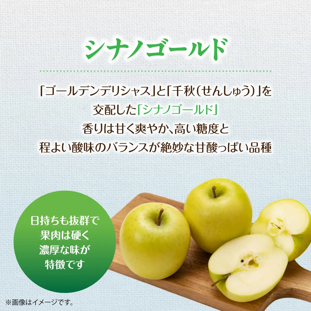＜2026年11月上旬よりお届け＞北海道壮瞥町　りんご　品種名「シナノゴールド」8～10玉約3kg SBTF020