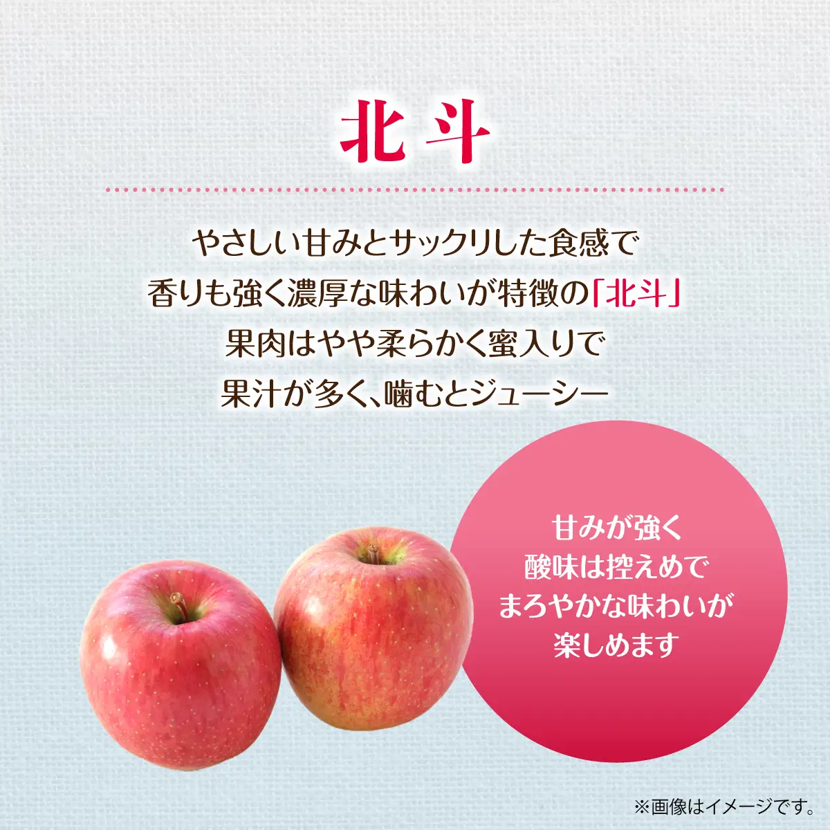 【先行予約】＜2026年11月中旬よりお届け＞北海道壮瞥町　りんご　品種名「北斗」12～18玉約5kg SBTF023