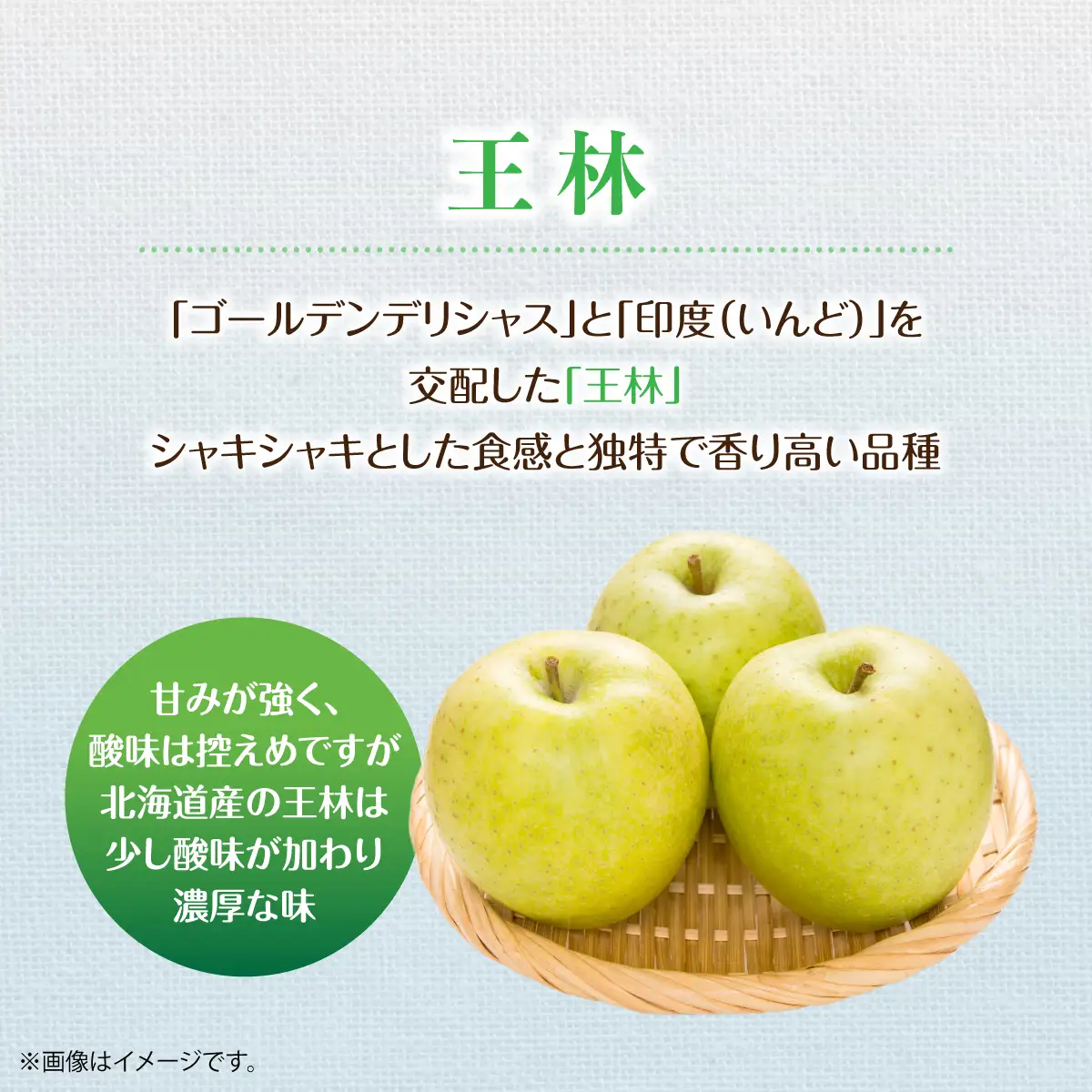 【先行予約】＜2026年11月中旬よりお届け＞北海道壮瞥町　りんご　品種名「王林」8～10玉約3kg SBTF024