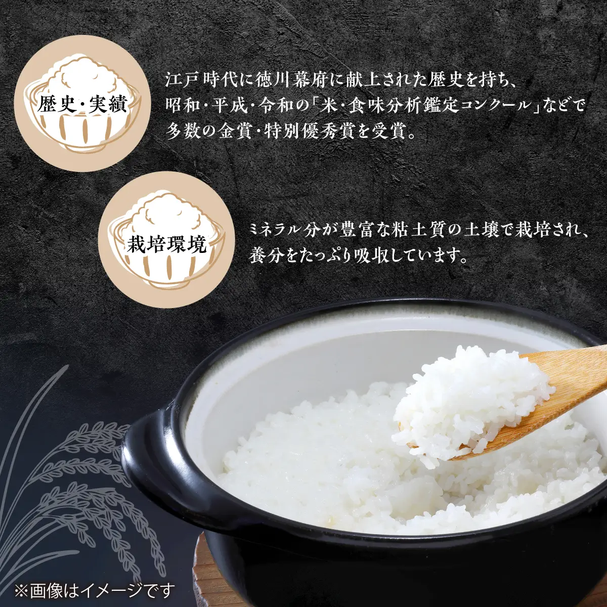 【令和7年産】多古米コシヒカリ　精米20kg(5kg×4袋)_ コシヒカリ 米 こしひかり_【配送不可地域：離島・沖縄県】 TAKN002