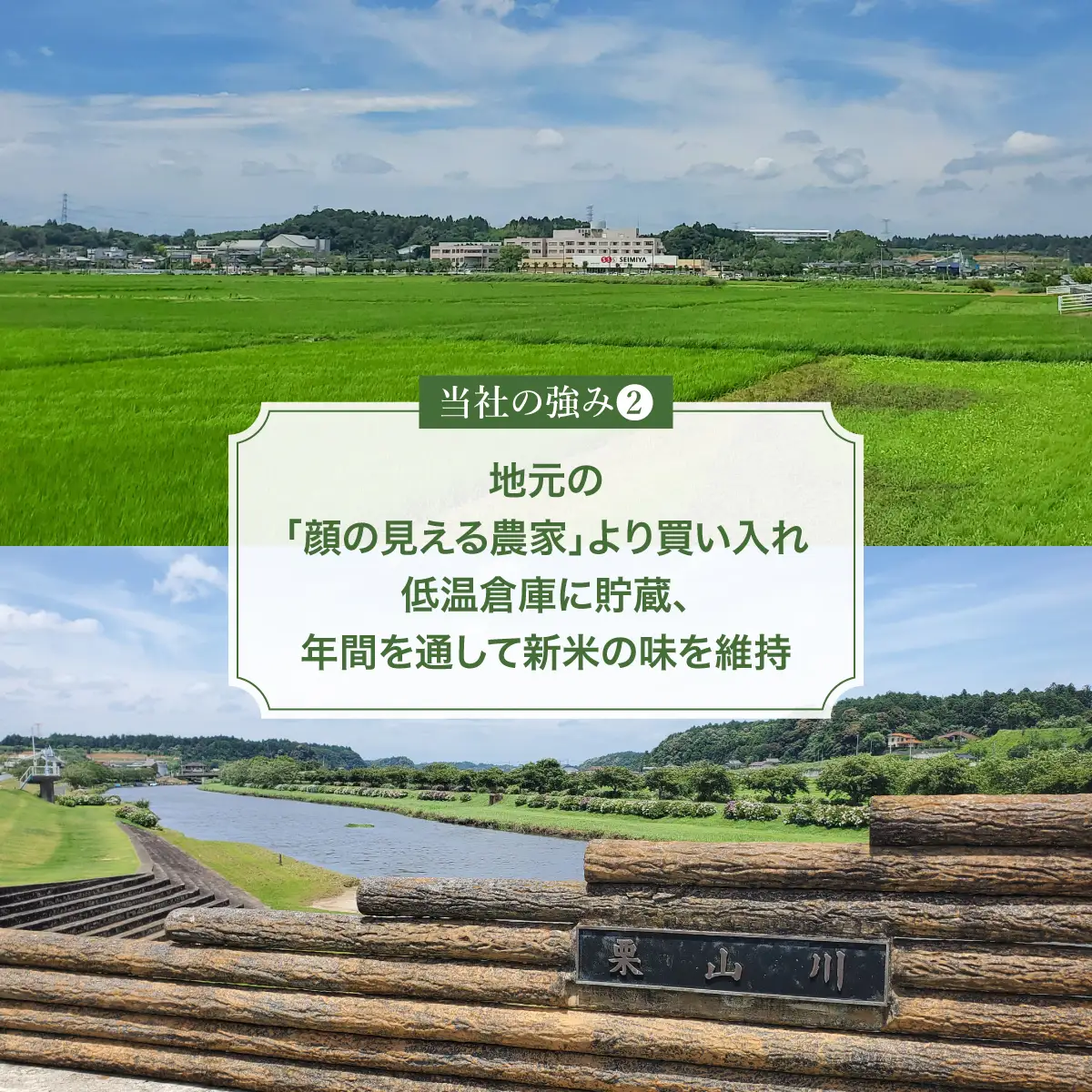【令和7年産】多古米コシヒカリ 精米10kg(5kg×2袋)_ 精米 米 _【配送不可地域：離島・沖縄県】 TAKE002