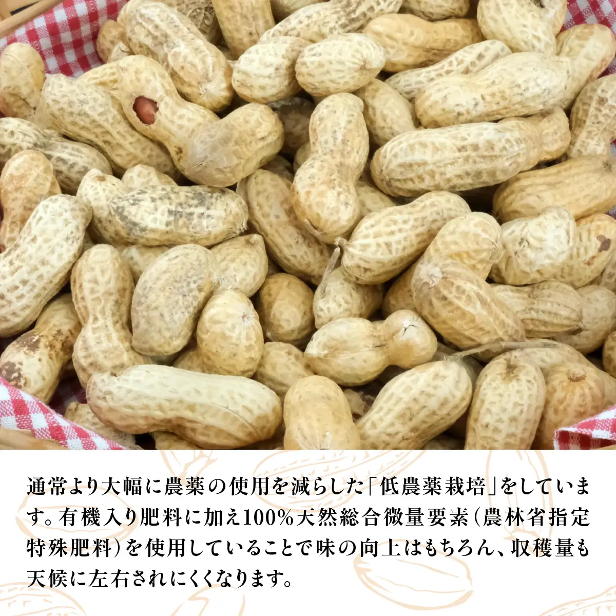 千葉特産　高級品種[千葉半立]植松のごく旨落花生　4種詰め合わせセット_菓子・スイーツ 和菓子    野菜 豆  まめ マメ【配送不可地域：離島・沖縄県】 TAKF053