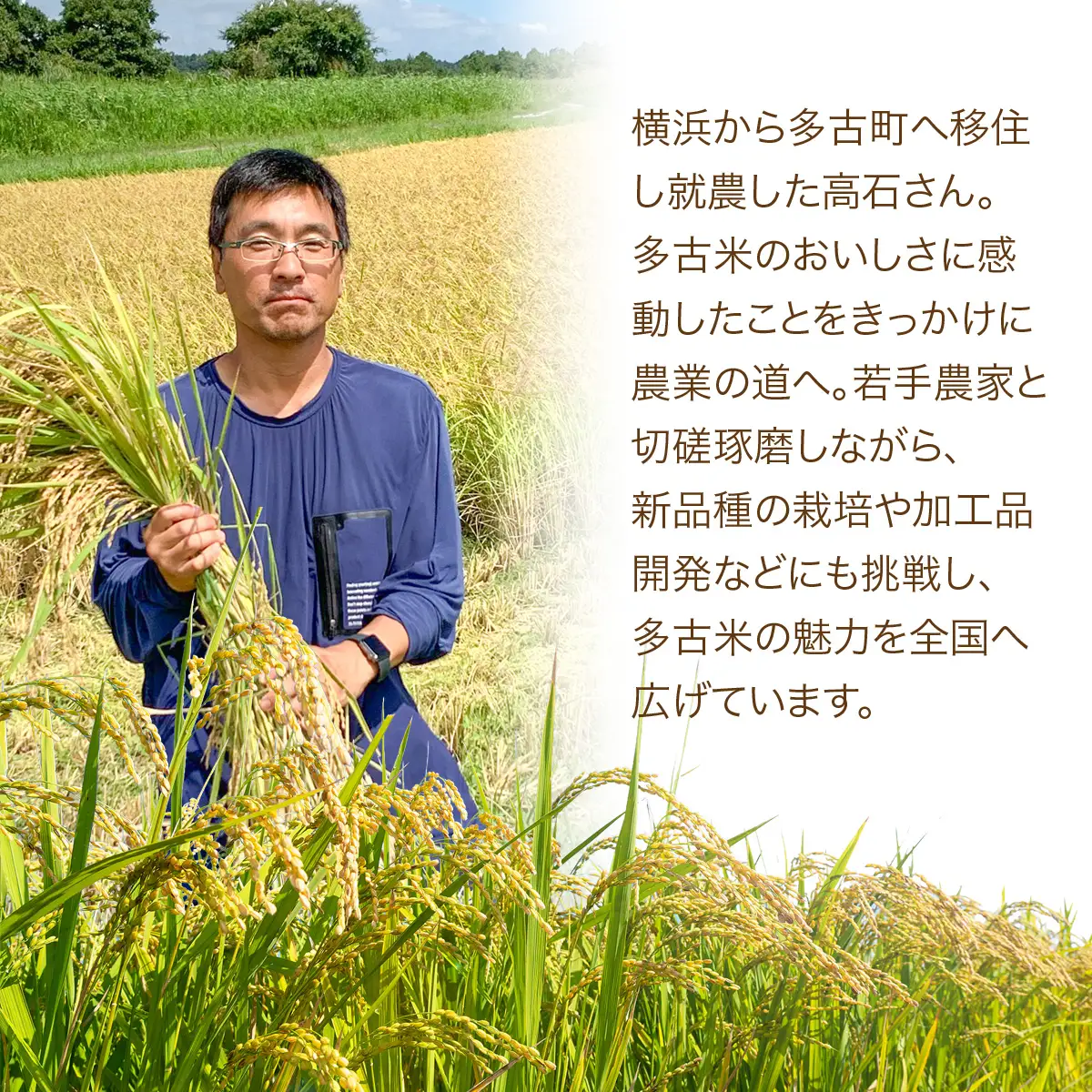 多古米セレクション　高石健太郎さんの多古米コシヒカリ　精米5kg　令和7年産 【配送不可地域：離島・沖縄県】TAKF035