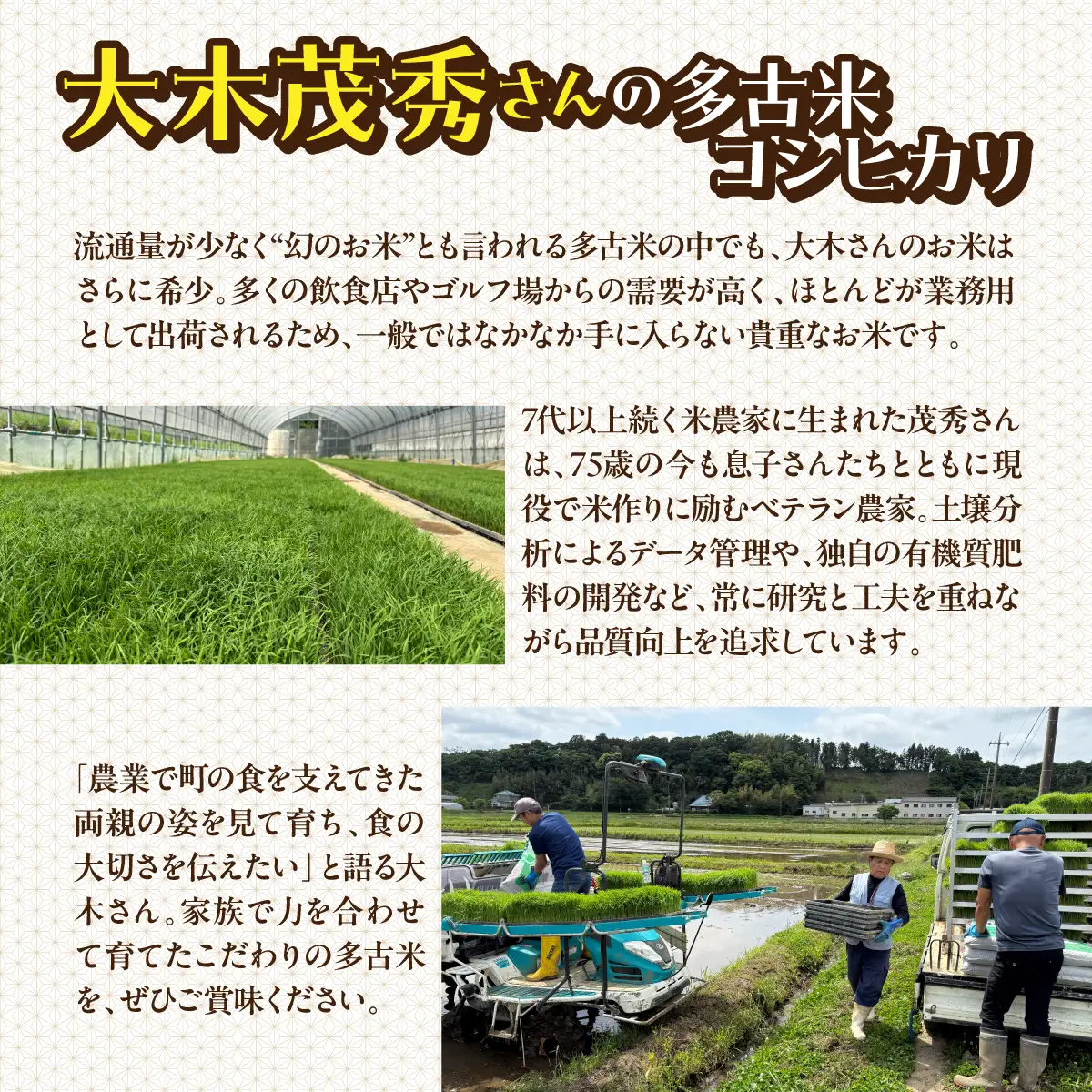多古米セレクション　大木茂秀さんの多古米コシヒカリ　精米5kg　令和7年産 【配送不可地域：離島・沖縄県】TAKF055