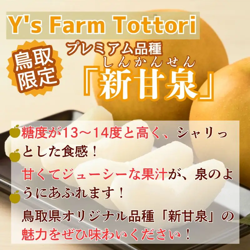 Y1010 新甘泉(赤秀) 3kg