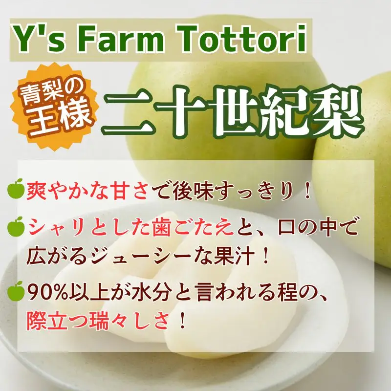Y1016 二十世紀梨(赤秀) 5kg