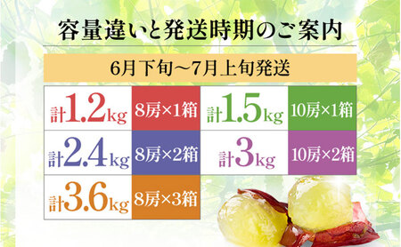 【2026年先行予約】苗から厳選 デラウェア2.4kg(16房) 6月下旬～7月中旬発送 特選 期間限定 大粒 ぶどう ブドウ フルーツ 果物 くだもの おすすめ