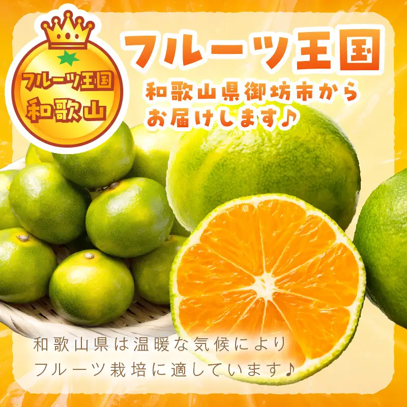【1212】極早生みかん 2.5kg 和歌山産 甘酸っぱいみかん