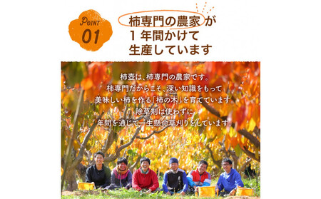 【柿専業の農家が作る】出雲産富有柿　2.5kg【11月下旬以降お届け】