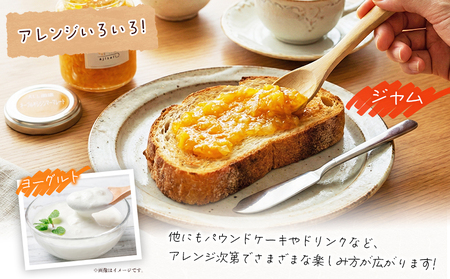 ＜ネーブルマーマレードジャム 125g×4個＞ ペクチン・添加物不使用 西予市産 国産 ネーブルオレンジ フルーツジャム ヨーグルト トッピング 朝食 株式会社味彩 愛媛県【常温】『1か月以内に順次出荷』 SAZ0006