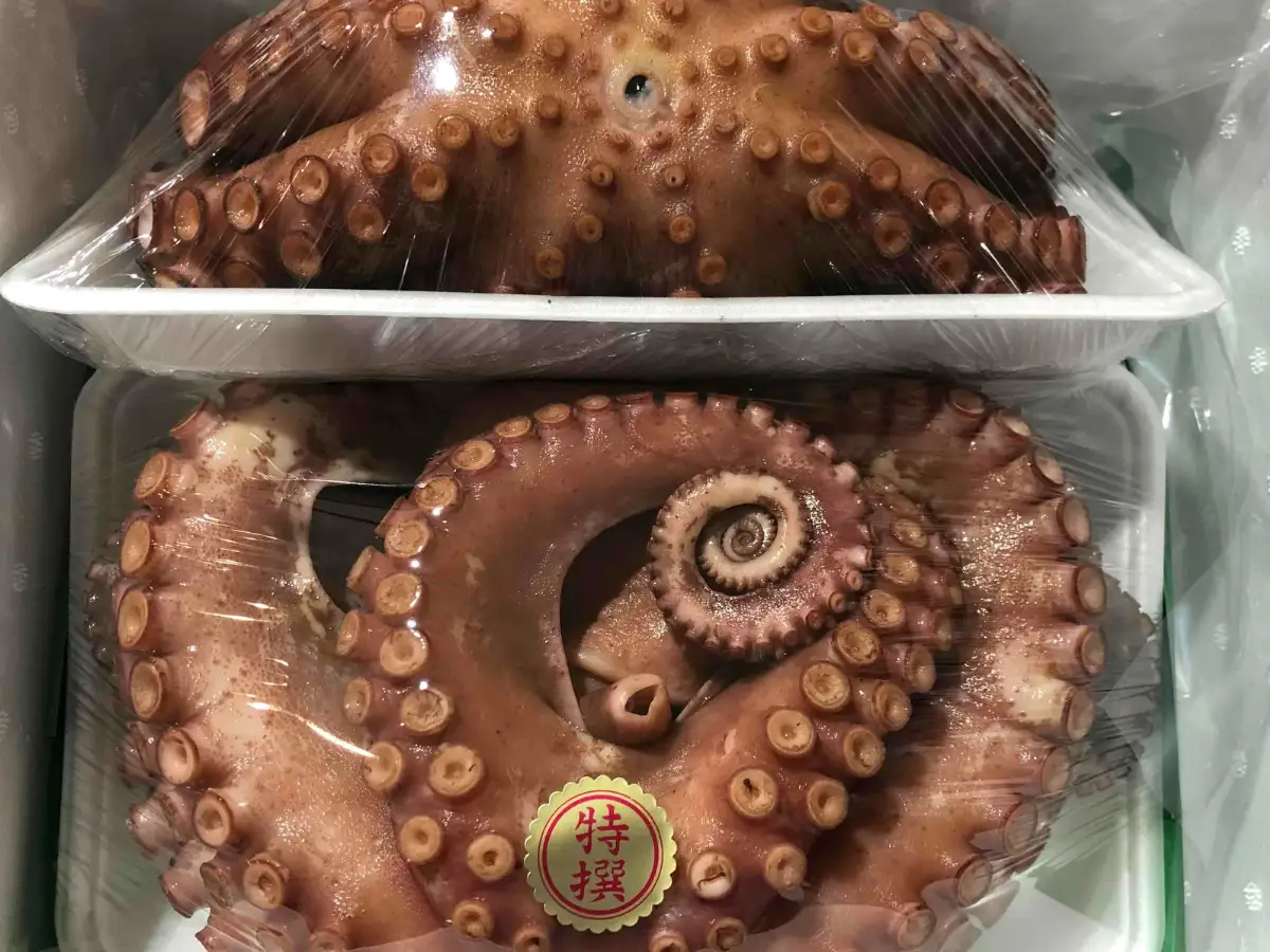 八幡浜発!竹中水産のたっぷり「浜茹で地蛸」三昧!たっぷり2.5kg前後【H22-190】【配送不可地域：離島】【1043153】 YWTM017
