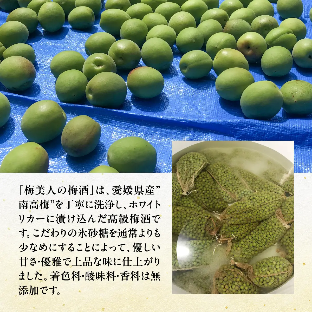 純米大吟醸「梅美人」と「梅美人の梅酒」のセット【D03-3】【1043423】 YWTO001