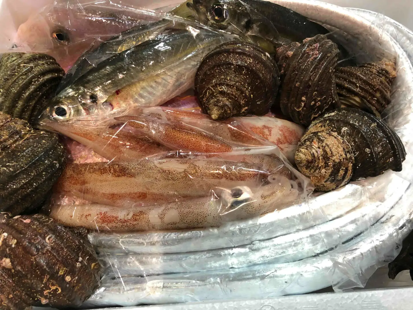 竹中水産の「豪華鮮魚ボックス約4キロ」!【H22-234】【配送不可地域：離島・北海道・沖縄県】【1070934】 YWTM052