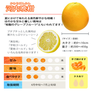 口いっぱいに広がる爽やかさ!「河内晩柑」約4kg(Mサイズ以上)【C28-11】【1076999】 YWTN008