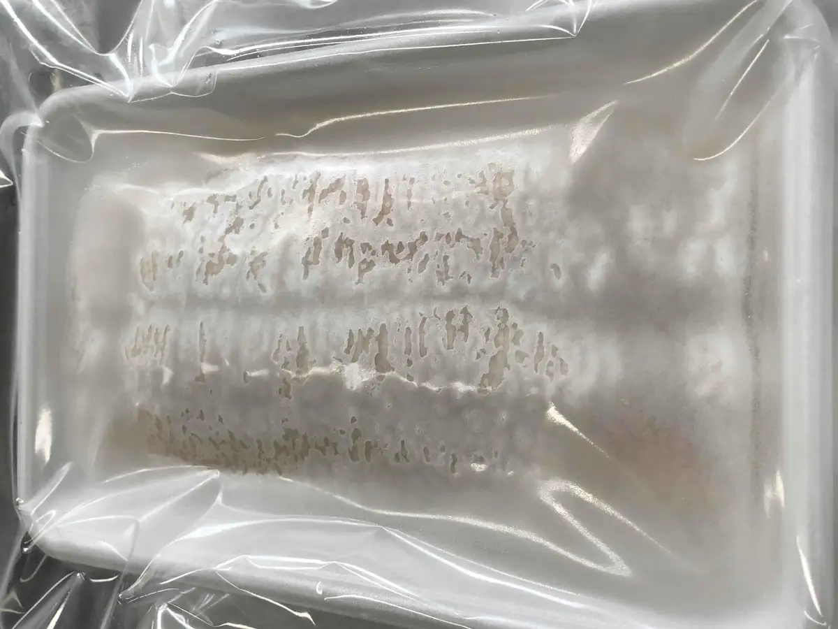 竹中水産の骨切り鱧(400g以上)【C22-266】【配送不可地域：離島】【1078997】 YWTM084