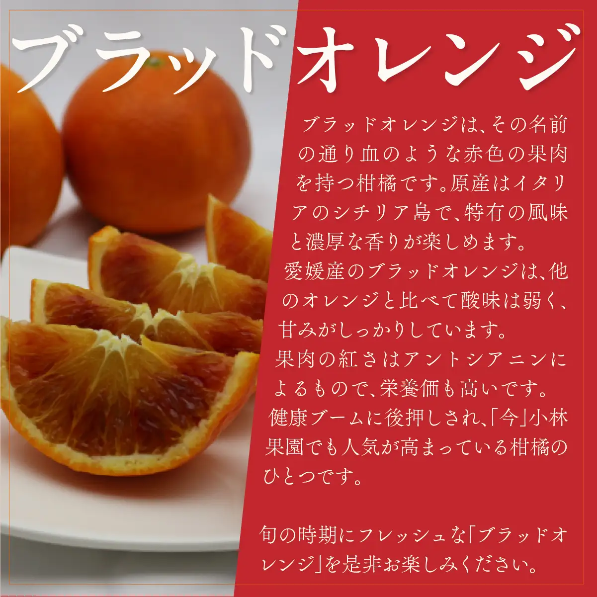 【先行受付】小林果園のブラッドオレンジ(約5kg)【C24-24】【1124430】 YWTAD017