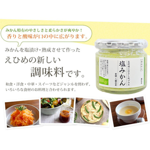 みかんがふわっと香るワンランク上のお料理に!愛媛の新しい調味料 塩みかん4種セット【C25-65】【1228227】 YWTAP037