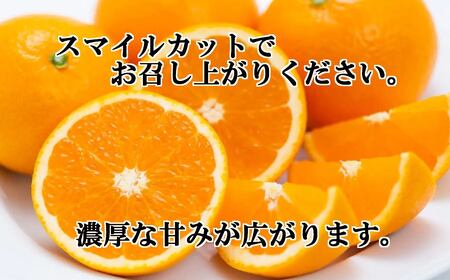 2027年3月出荷開始　完熟・果汁たっぷり!!「きよみ」約5kg　【D39-34】【1262235】 YWTF015