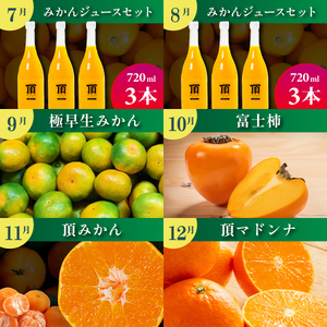 【発送月固定定期便】みかんのある暮らし全12回【H31-33】【配送不可地域：離島】【4000707】 YWTAC022