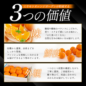 シーズン一番採り!極早生みかん 小玉6kg【訳あり】【C25-47】【1248092】 YWTAP030