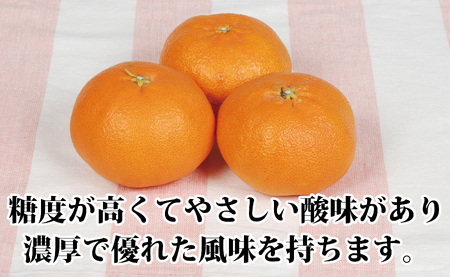 柑橘の大トロ!「せとか」約3.5キロ【訳あり品・家庭向け】【C39-51】【配送不可地域：離島】【1491413】 YWTF026