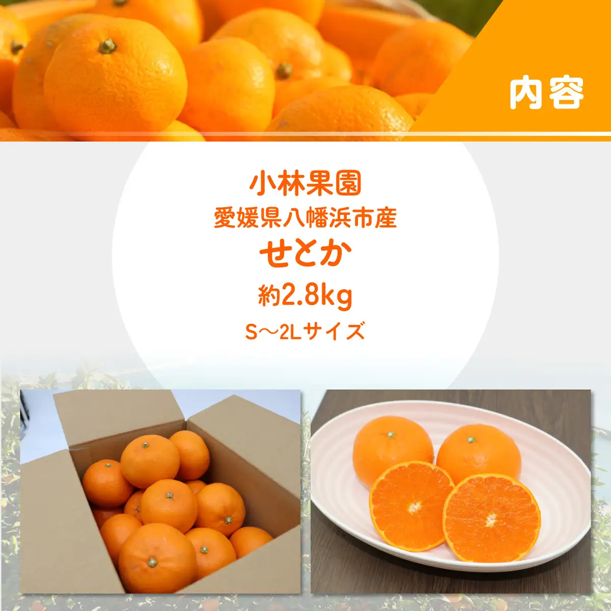 【先行受付】愛媛・小林果園のせとか 約2.8kg【C24-31】【1519398】 YWTAD022