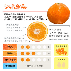 【先行受付】「熟成」八幡浜産いよかん約4kg【C28-6】【1122251】 YWTN003