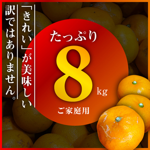 【訳あり(家庭用)】三代目がつくる愛媛みかん 8kg【C31-40】【1556518】 YWTAC029